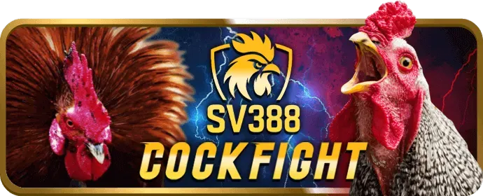 Hướng dẫn tải ứng dụng vn333 win cho Android